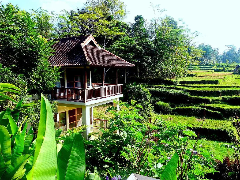 Villa Viola Ubud