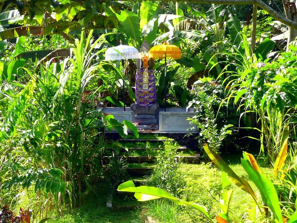 Villa Viola Ubud